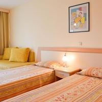 ნომრები preview