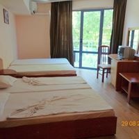 ნომრები preview