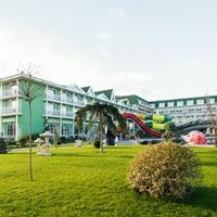 ყველა preview