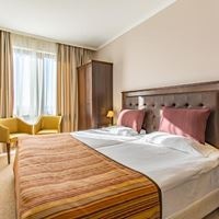 ნომრები preview