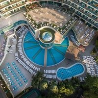 ყველა preview