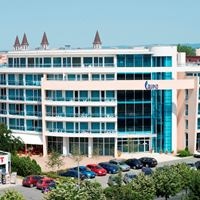 ყველა preview