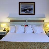 ნომრები preview