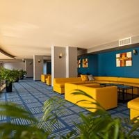 ბარი preview