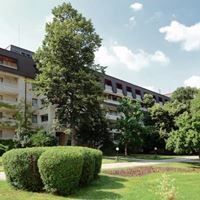 ყველა preview