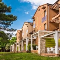 ყველა preview