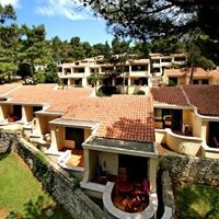 ყველა preview