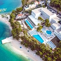 ყველა preview