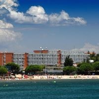 ყველა preview