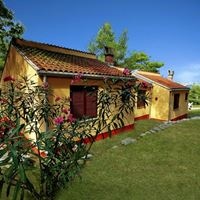 ყველა preview