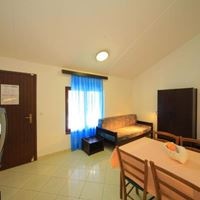 ნომრები preview