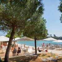 ბარი preview