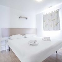 ნომრები preview