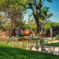 ყველა preview