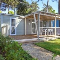 ნომრები preview