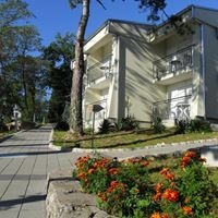 ყველა preview