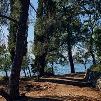 პლაჟი preview