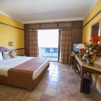 ნომრები preview