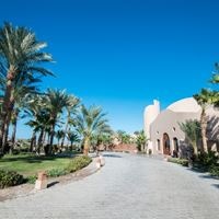 ყველა preview