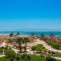 ყველა preview