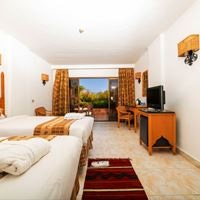 ნომრები preview