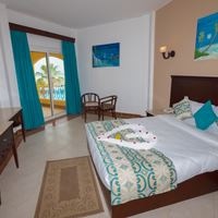 ნომრები preview