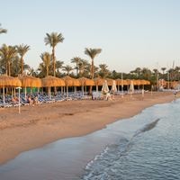 პლაჟი preview