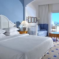 ნომრები preview