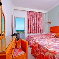 ნომრები preview