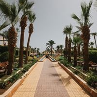 ყველა preview