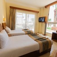 ნომრები preview