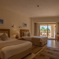 ნომრები preview