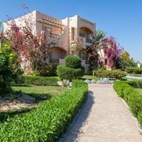 ნომრები preview