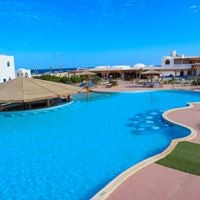 ყველა preview