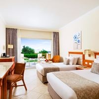 ნომრები preview