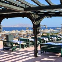 ბარი preview