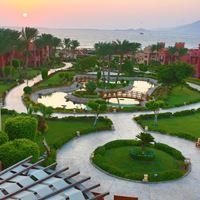 ყველა preview