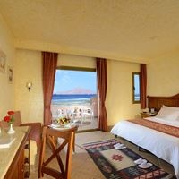 ნომრები preview