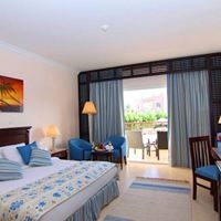 ნომრები preview