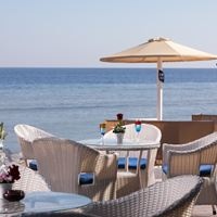 ბარი preview