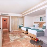 ნომრები preview