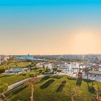 ყველა preview