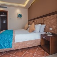 ნომრები preview