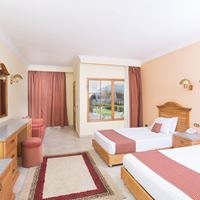 ნომრები preview