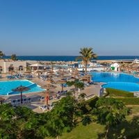 ყველა preview