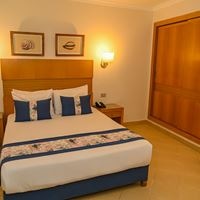 ნომრები preview