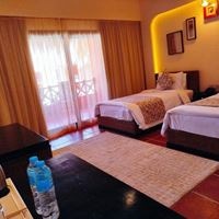 ნომრები preview