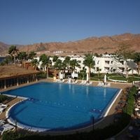 ყველა preview