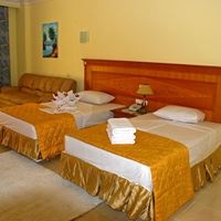 ნომრები preview