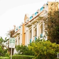 ყველა preview